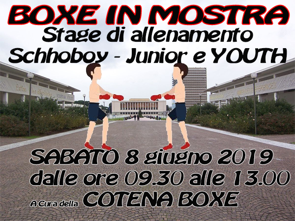 Boxe in mostra