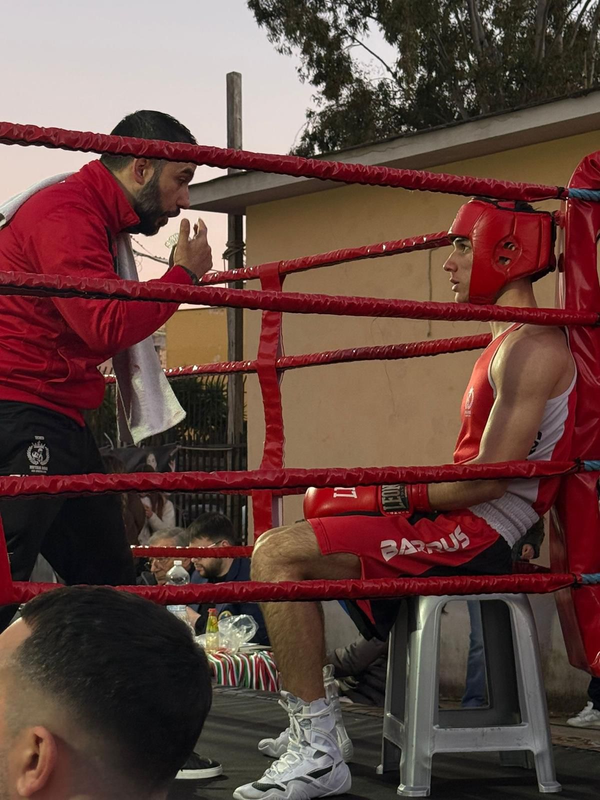 WhatsApp Image 2026-02-25 at 19.09.143.jpeg